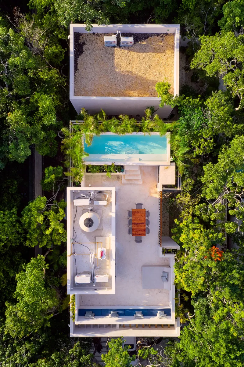 Casa Thomas rooftop terrace from above, with the pool edged with palms, a dining table, a daybed and a lounge bench with blue cushions among the treetops