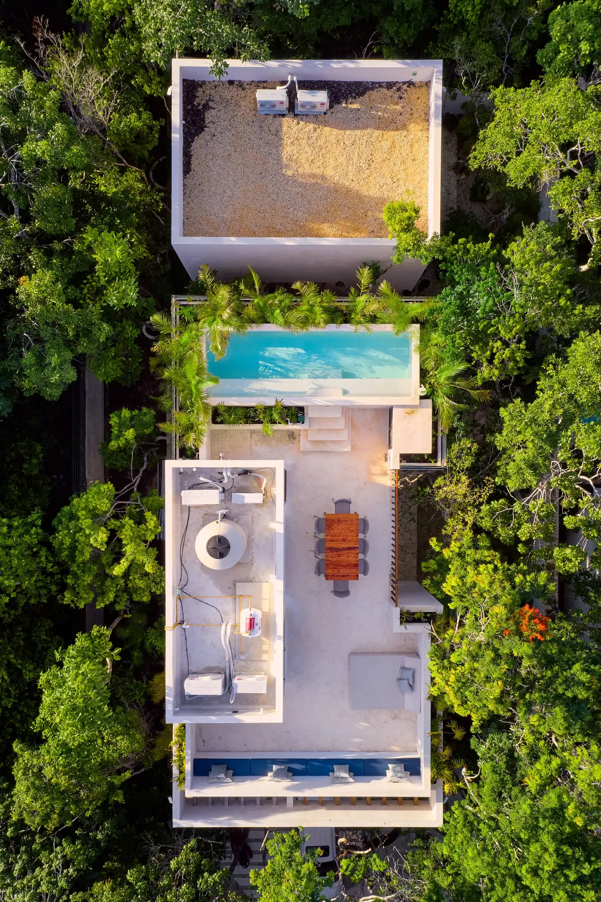 Casa Thomas rooftop terrace from above, with the pool edged with palms, a dining table, a daybed and a lounge bench with blue cushions among the treetops